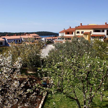 Apartments Cezar Vinkuran Dış mekan fotoğraf