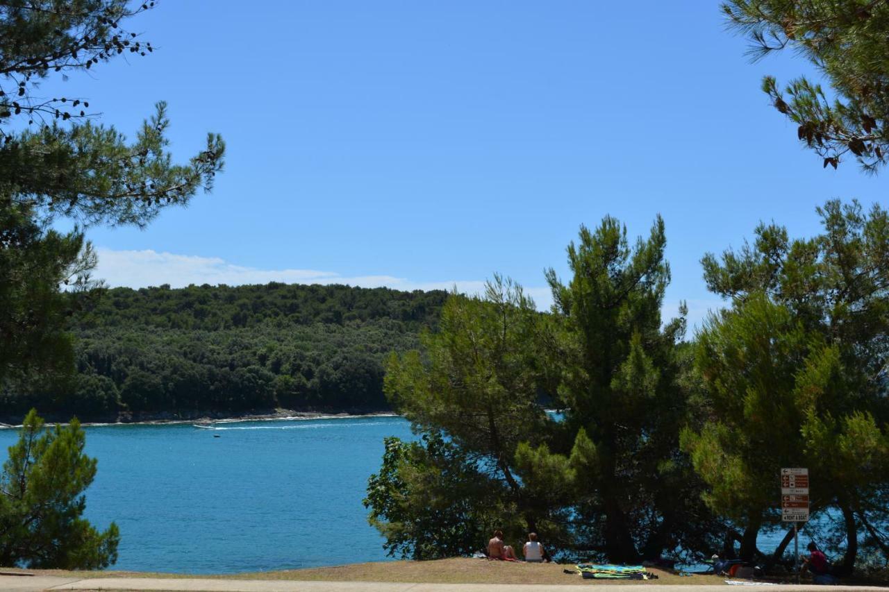Apartments Cezar Vinkuran Dış mekan fotoğraf